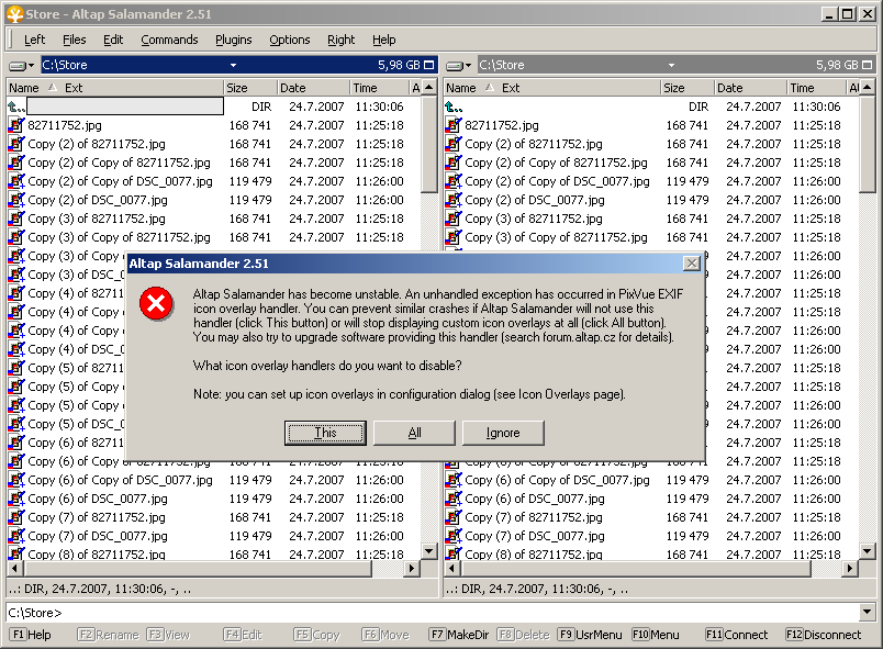 Crash caused by faulty icon overlay is detected and it is possible to disable faulty shell extension.