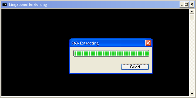 execution of exe file in DOS-box