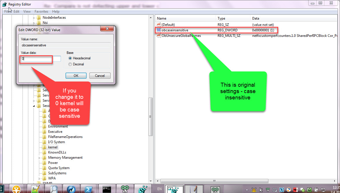 registry_kenrel_case_sensitivity.jpg