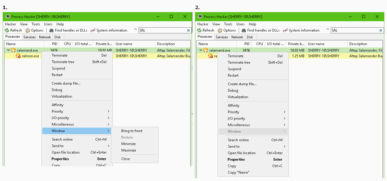 Salamander - Process Hacker - Visible-Hidden.png