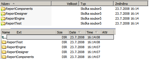 salamaderTFS.png