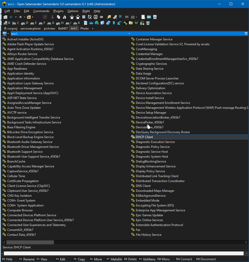 2025-10-06 18_04_38-svc__ - Open Salamander_ Samandarin 5.0-samandarin-0.1 (x64) (Administrator).png