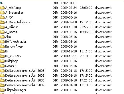 Screenshot with Salamander FTP